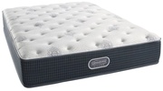 Simmons Beautyrest Silver The Urban Mist Plush picture
