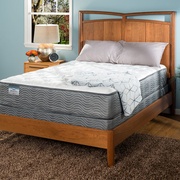 Simmons BeautySleep Amos Court Plush picture