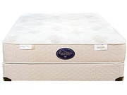 Spring Air Back Supporter Perfect Balance Alexis Plush picture