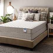 Spring Air Value Collection Lakota Firm picture