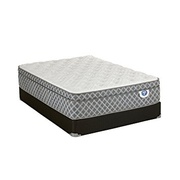 Spring Air Shelby Euro Top picture