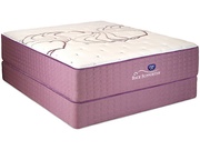 Spring Air Sleep Sense Level II Cushion Firm picture