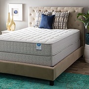 Spring Air Value Collection Tamarisk Firm picture