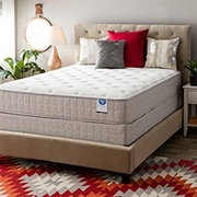 Spring Air Value Collection Tamarisk Plush picture