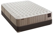Stearns & Foster Estate Bella Claire Luxury Plush picture
