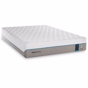 TEMPUR-Cloud (2014-2019) picture