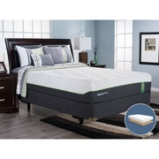TEMPUR-Flex Aspen (2015) picture