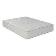 Wolf Sleep Accents Renewal picture