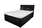Zedbed Black Label 1 picture