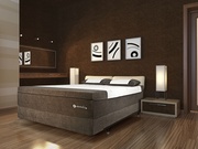 Zedbed Coco 1 picture