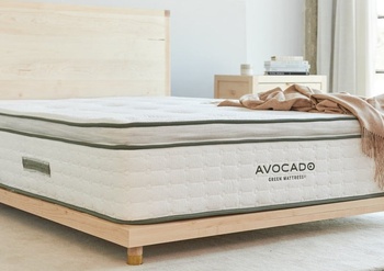 Avocado Latex Hybrid