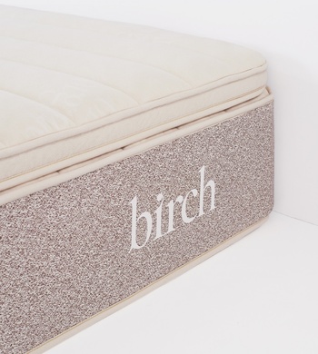 Birch with Plush Topper
