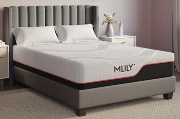 MLILY