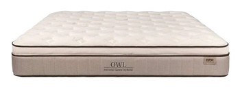 Nest Bedding Latex Hybrid