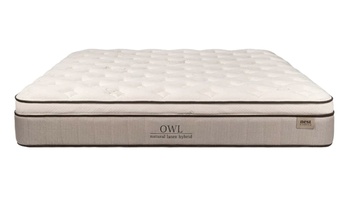 Nest Bedding Owl