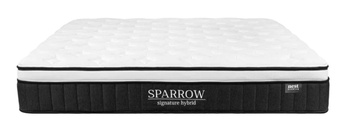 Nest Bedding Sparrow Signature Hybrid