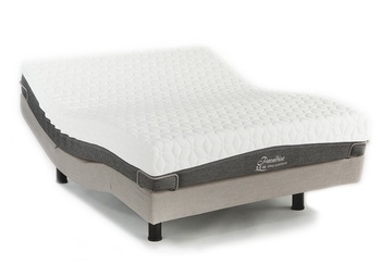 REM Sleep