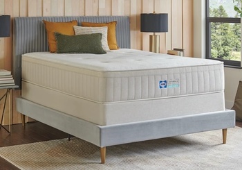 Sealy Naturals Medium