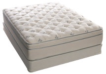 Therapedic BackSense