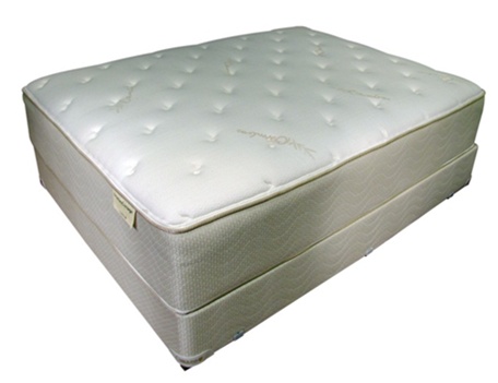 Carolina Mattress Guild Nature's Image Radiant Plush