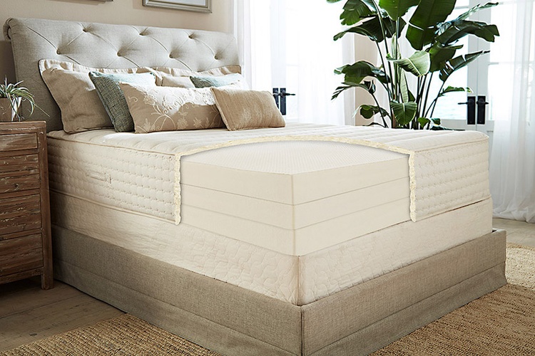 PlushBeds Botanical Bliss