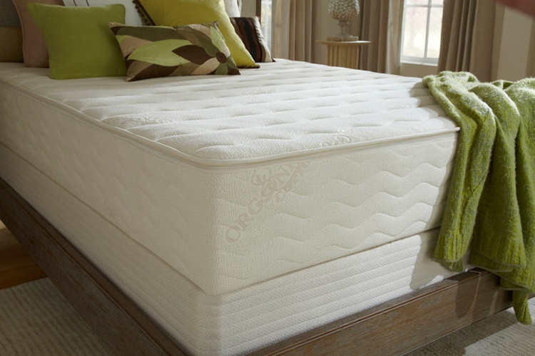 PlushBeds Botanical Bliss