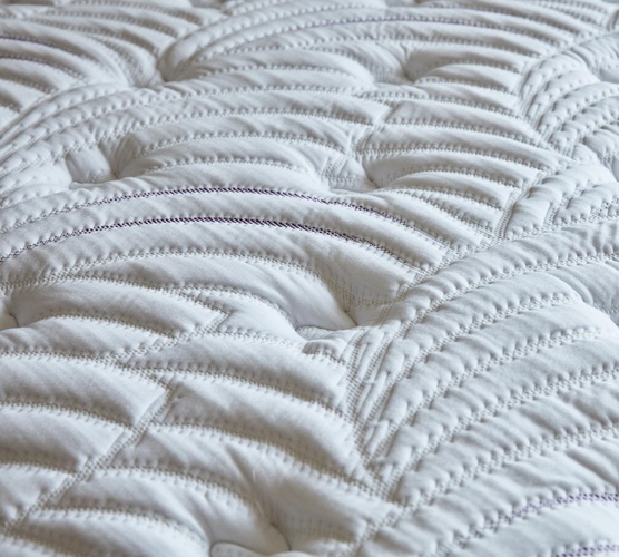 Sleepy's Reserve 14" Plush