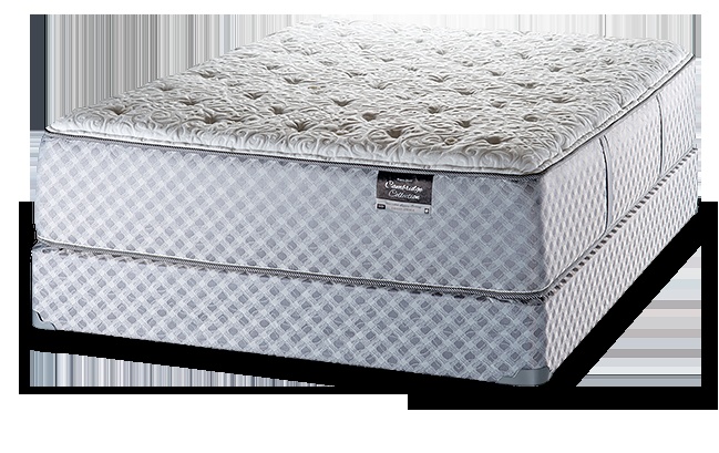 White Dove Cambridge