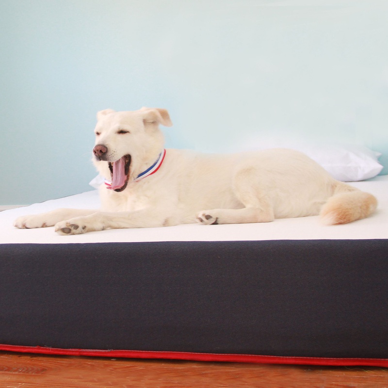 Freedom Sleep Mattress Review (2019) Our Expert Evaluation