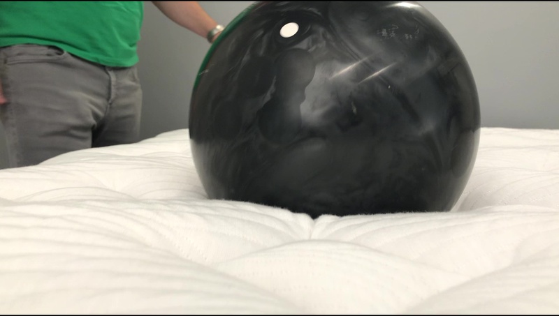 Nest Bedding Alexander Signature Hybrid Medium