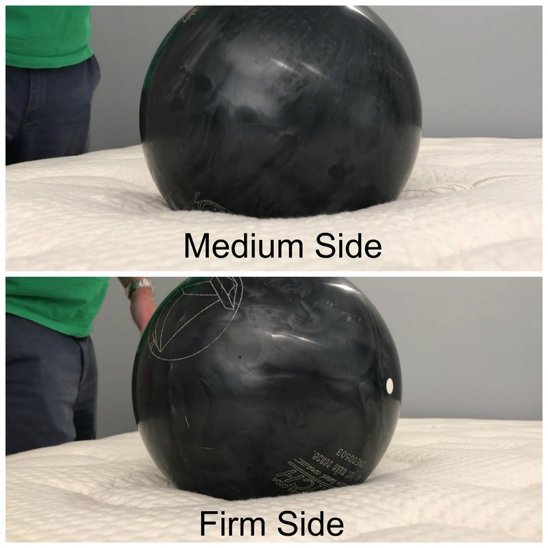 Nest Bedding Alexander Signature Medium