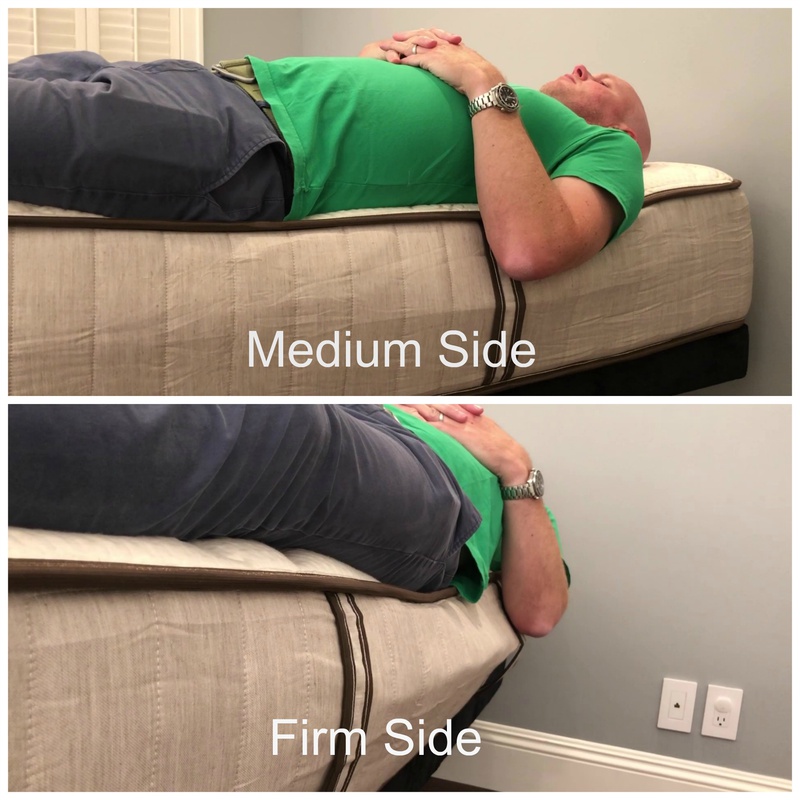 Nest Bedding Alexander Signature Medium