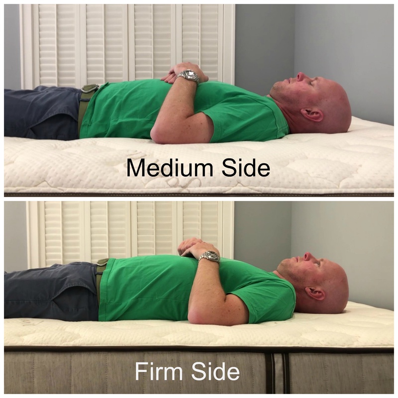 Nest Bedding Alexander Signature Medium