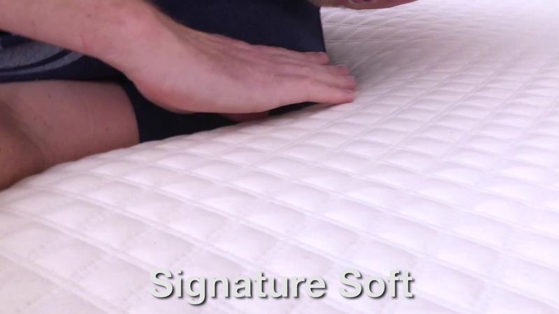 Nolah Signature 12 Soft