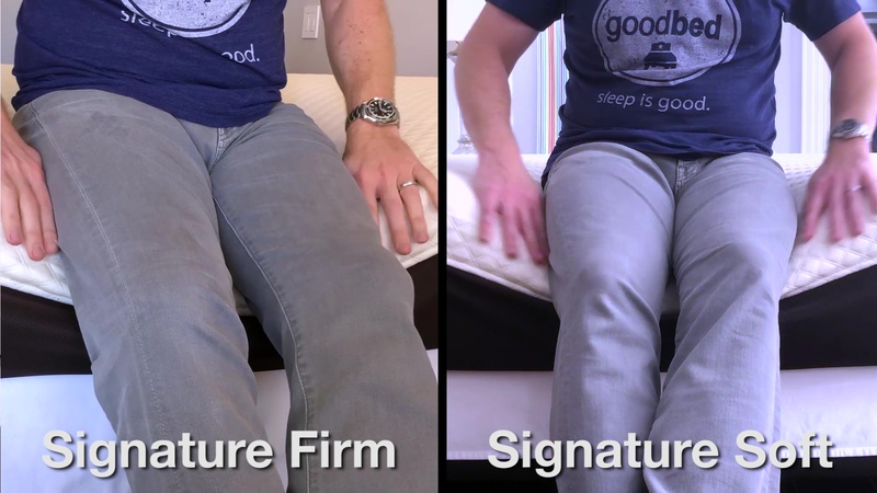 Nolah Signature 12 Soft