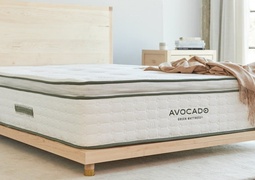 Avocado Latex Hybrid