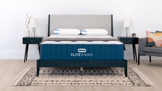 Bear Elite Hybrid Extra Firm picture