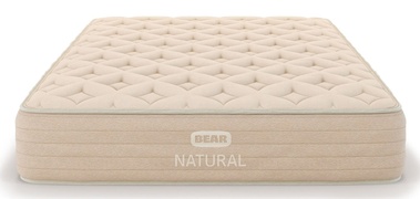 Bear Natural picture