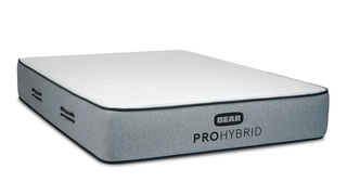 Bear Pro Hybrid picture