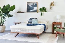 Brentwood Home Hybrid Latex picture