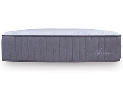 Brooklyn Bloom 14" Luxe Hybrid picture