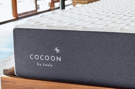 Cocoon Chill Memory Foam picture