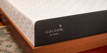 Cocoon Chill Hybrid picture
