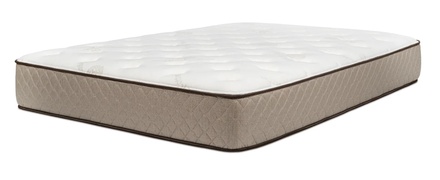 Dreamfoam Latex Medium picture