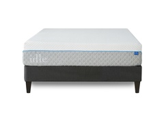 Idle 12" Dual Firmness picture