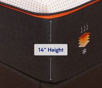 Nectar Premier Copper (2021-2024) picture