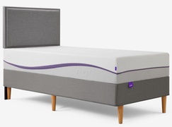 Purple Plus picture