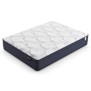 Renew Replenish Plush Euro Top picture