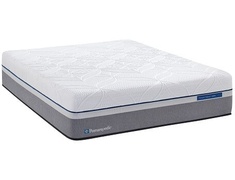 Sealy Premium Hybrid Silver Plush picture