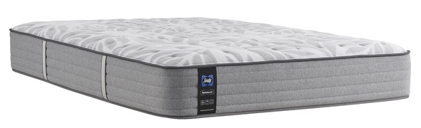 Sealy Posturepedic Silver Pine Medium Tight Top picture